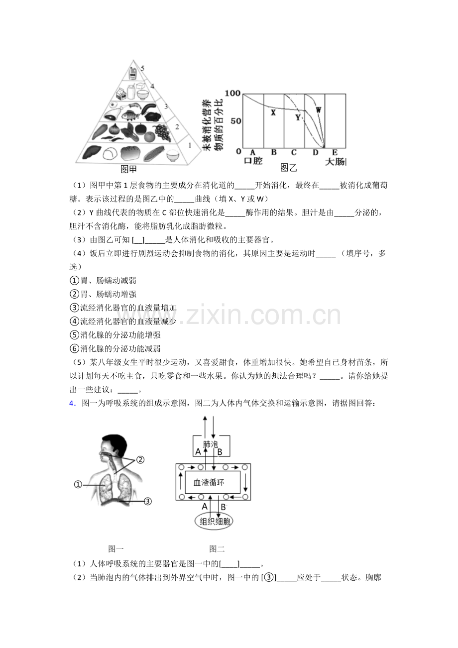 2024年人教版中学初一下册生物期末解答实验探究大题综合复习含解析.doc_第2页