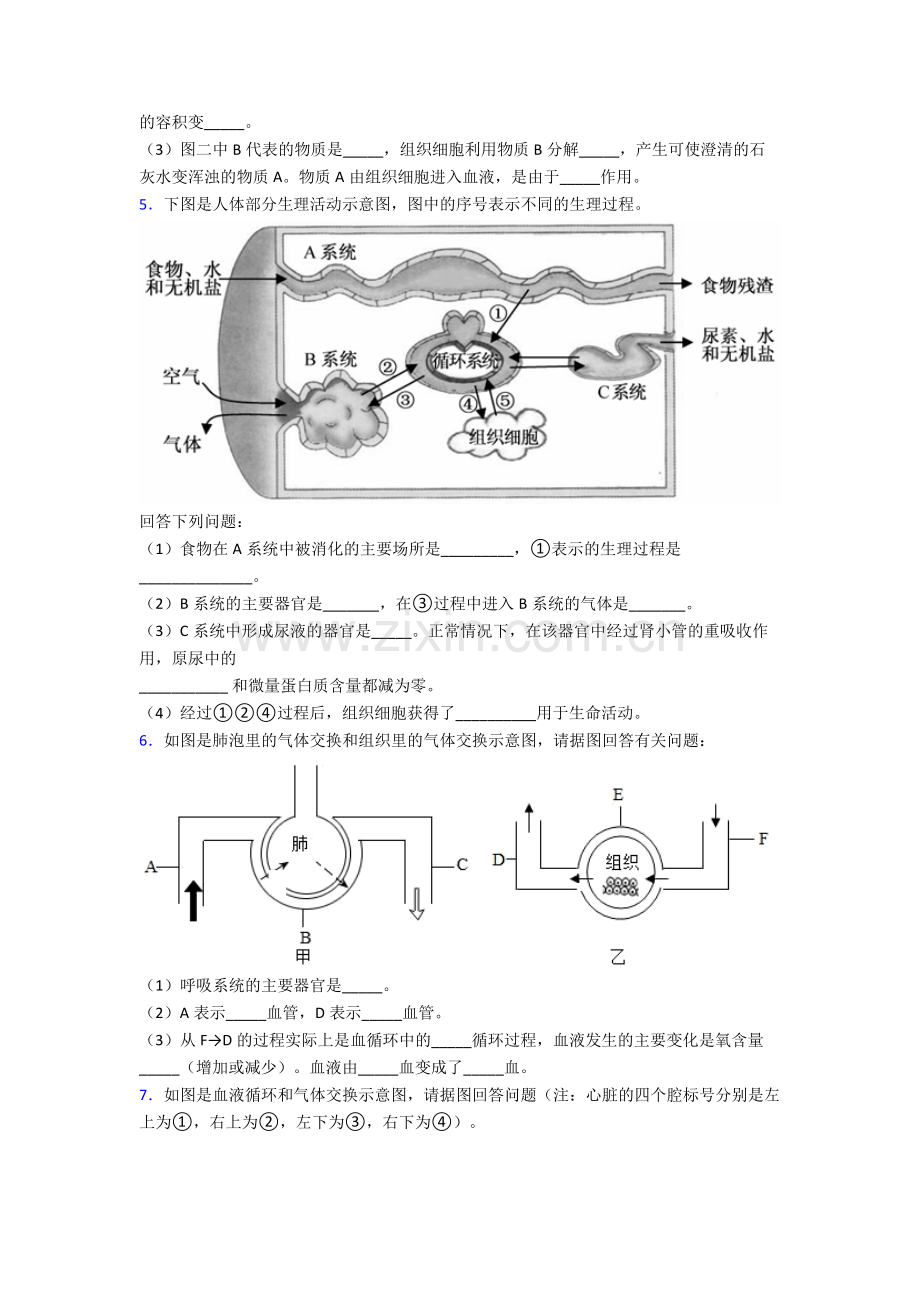 2024年人教版中学初一下册生物期末解答实验探究大题综合复习含解析.doc_第3页