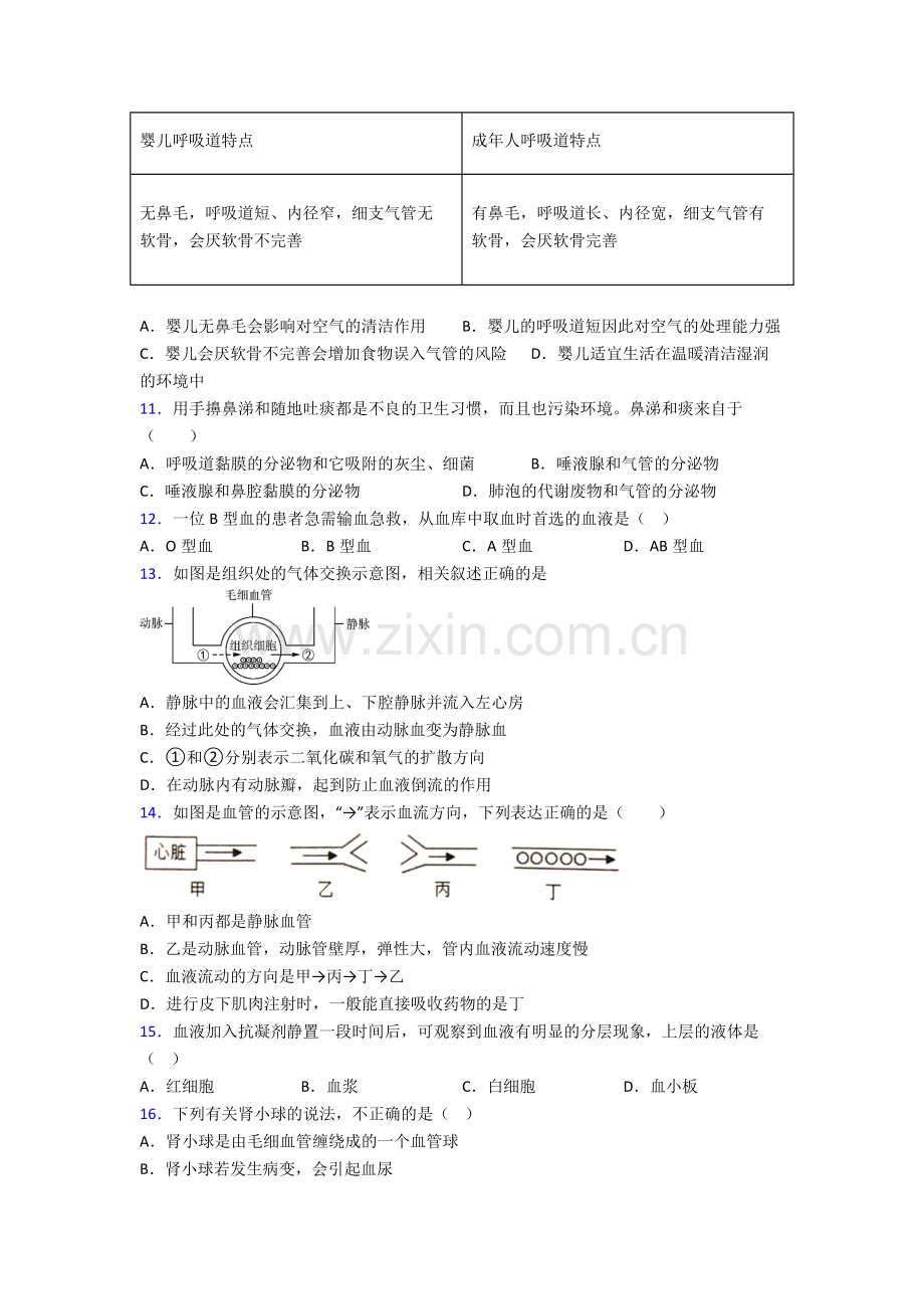 人教版七年级生物下册期中综合复习(含解析).doc_第3页