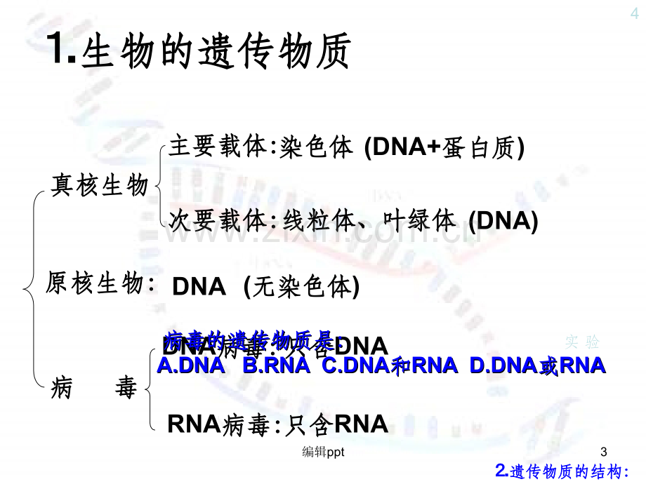 复习生物的遗传物质.ppt_第3页