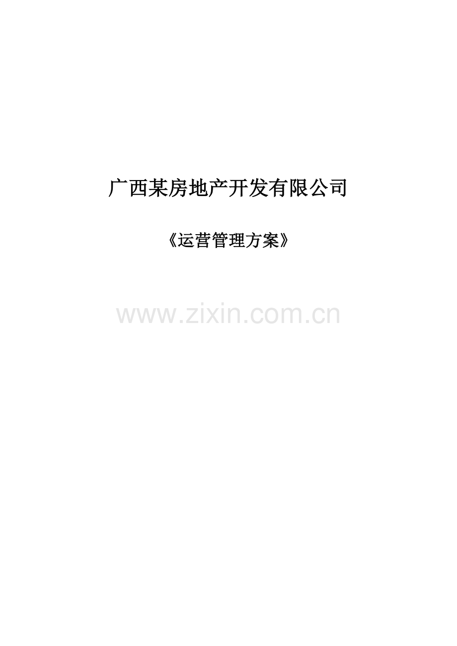 公司运营方案.docx_第1页