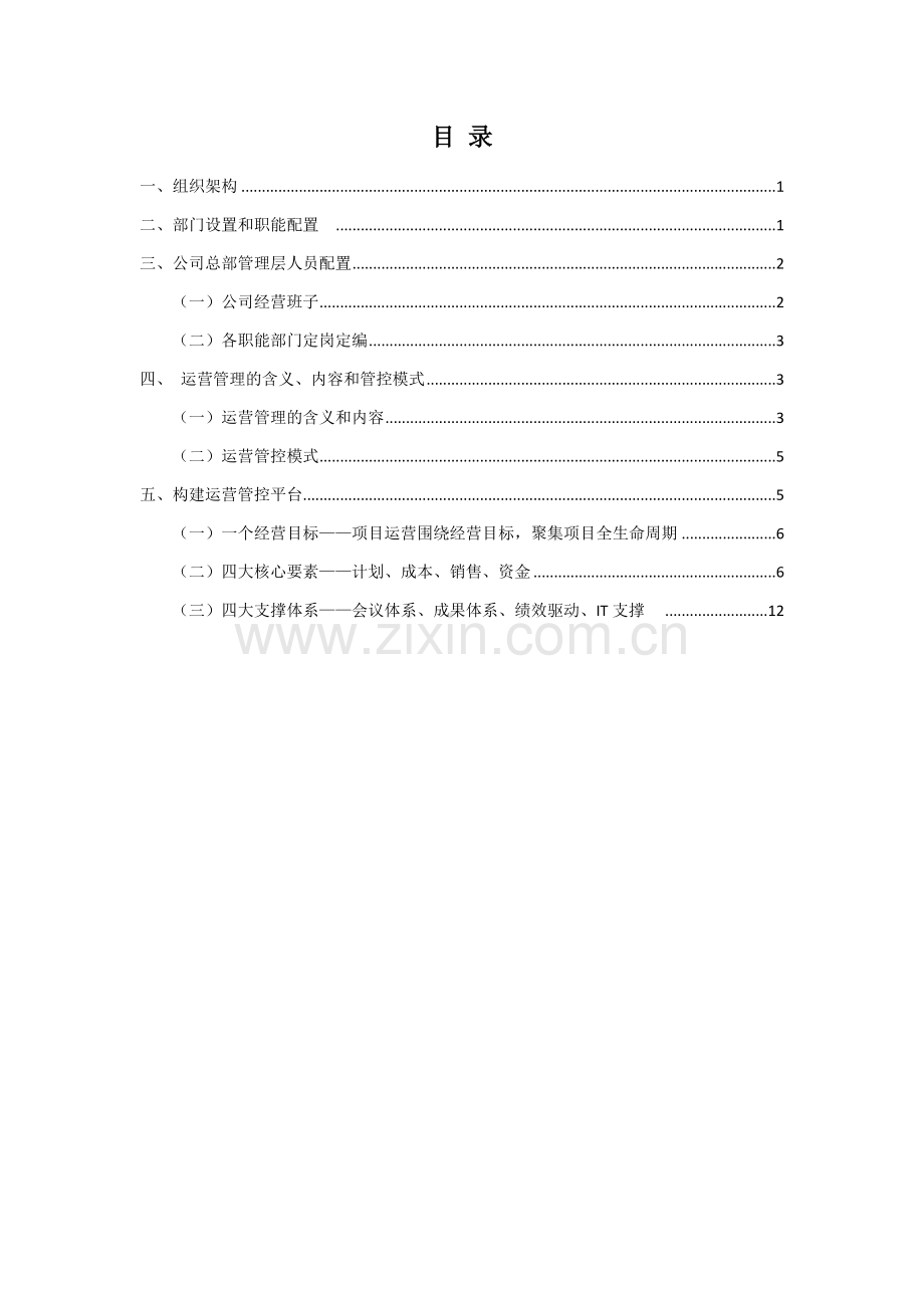 公司运营方案.docx_第2页