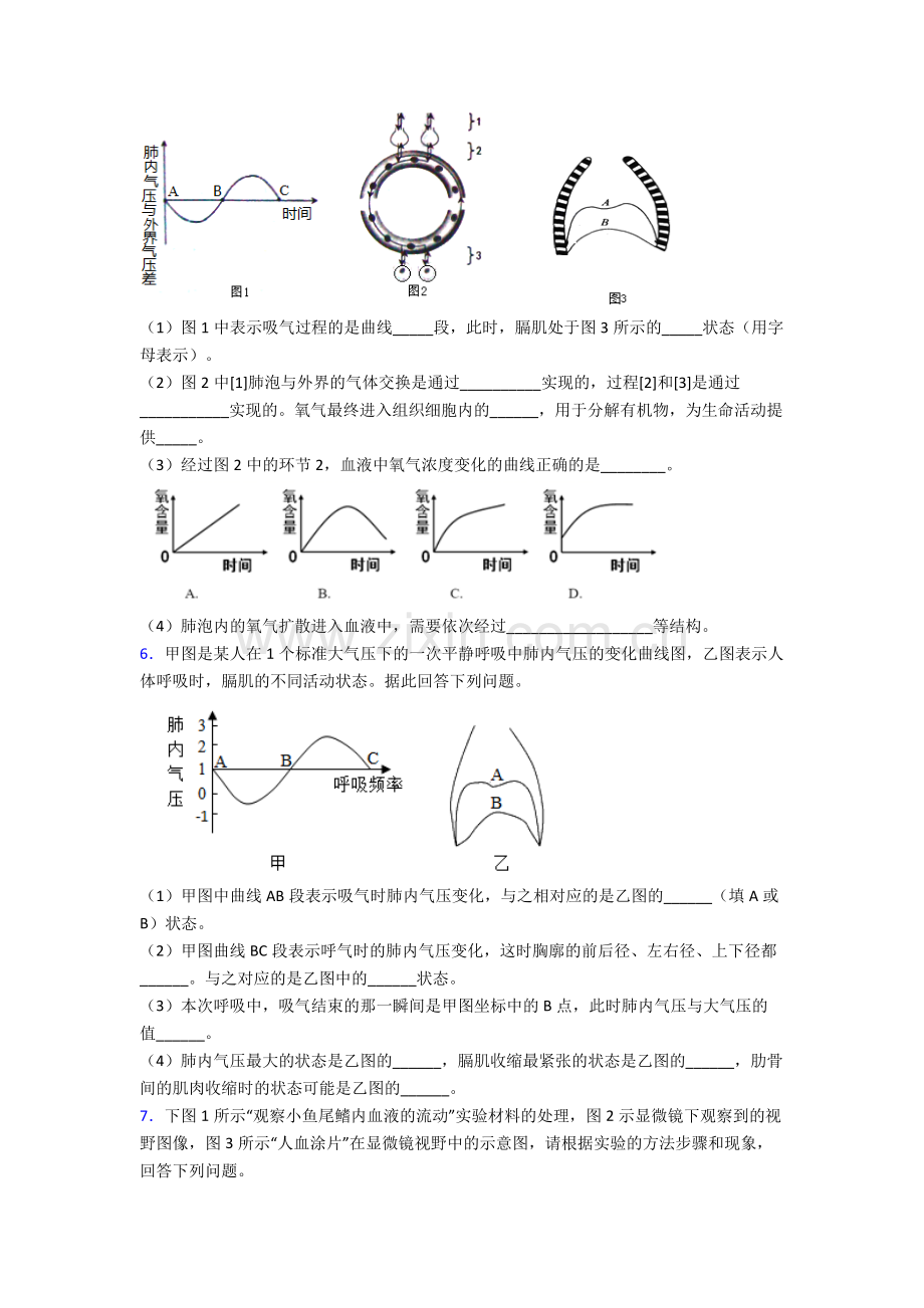 人教版中学七年级生物下册期末解答实验探究大题学业水平卷附答案word.doc_第3页