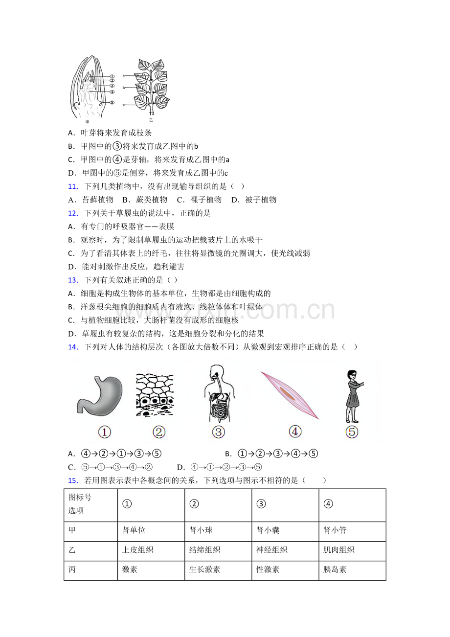 生物初一上学期期末模拟综合检测试题带解析(-).doc_第3页