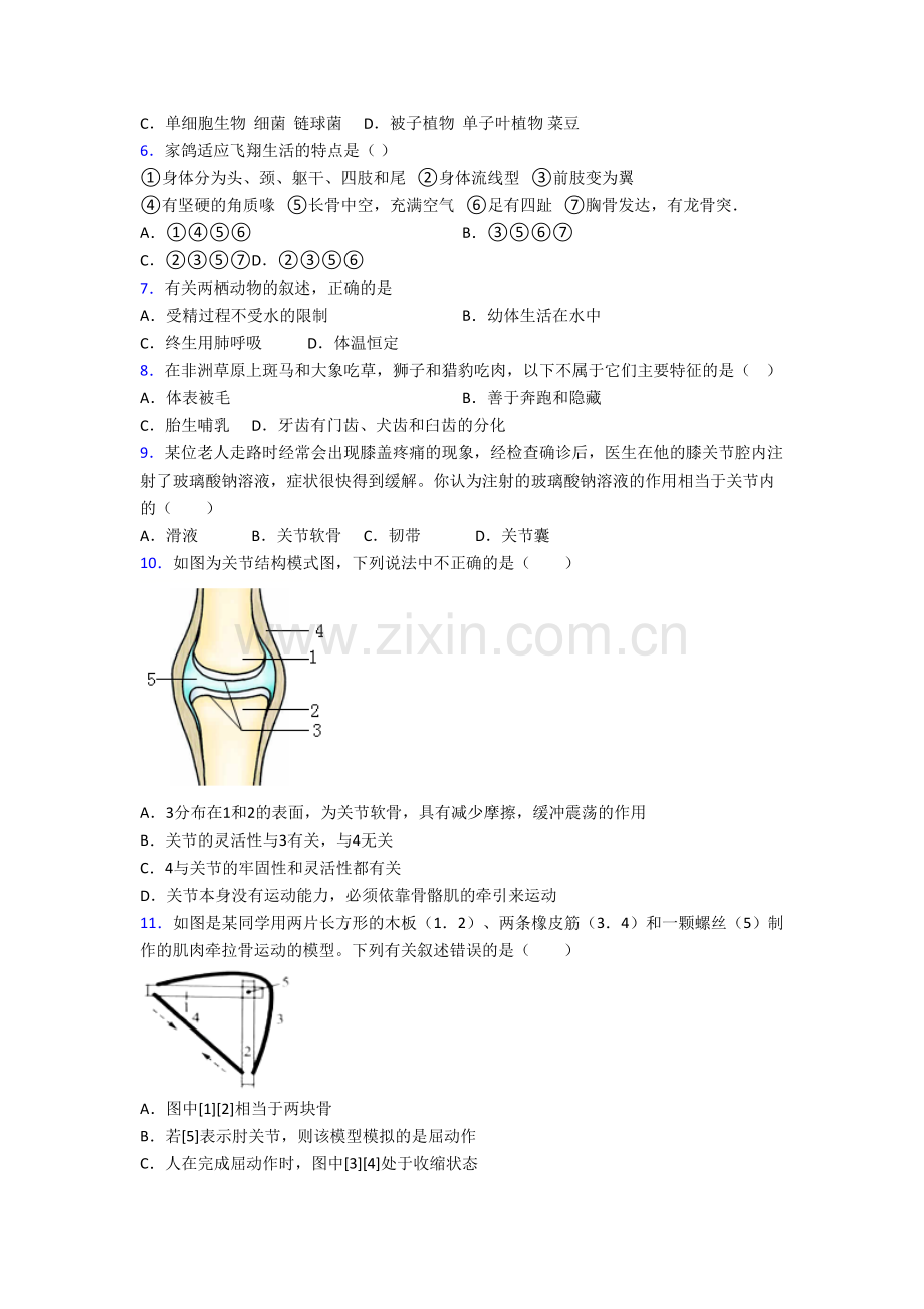 八年级上册期末模拟生物综合试题含答案[002].doc_第2页