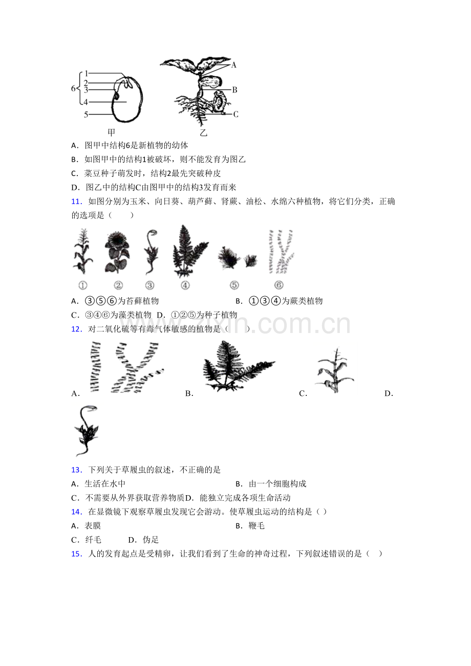 七年级上册期末模拟生物检测试卷解析(-)-(2).doc_第3页