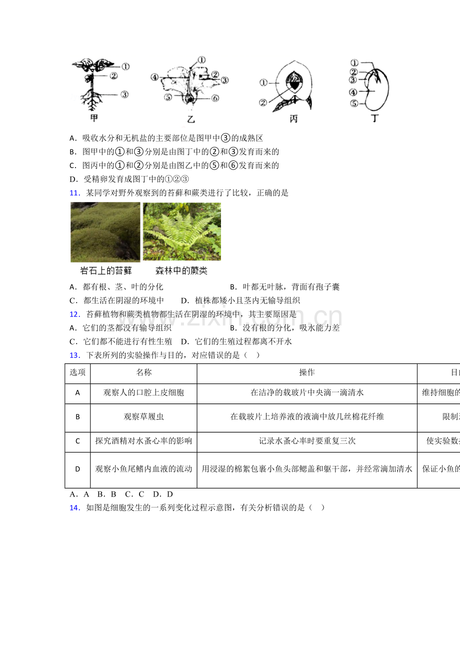 七年级上学期期末生物质量检测试题答案[001].doc_第3页