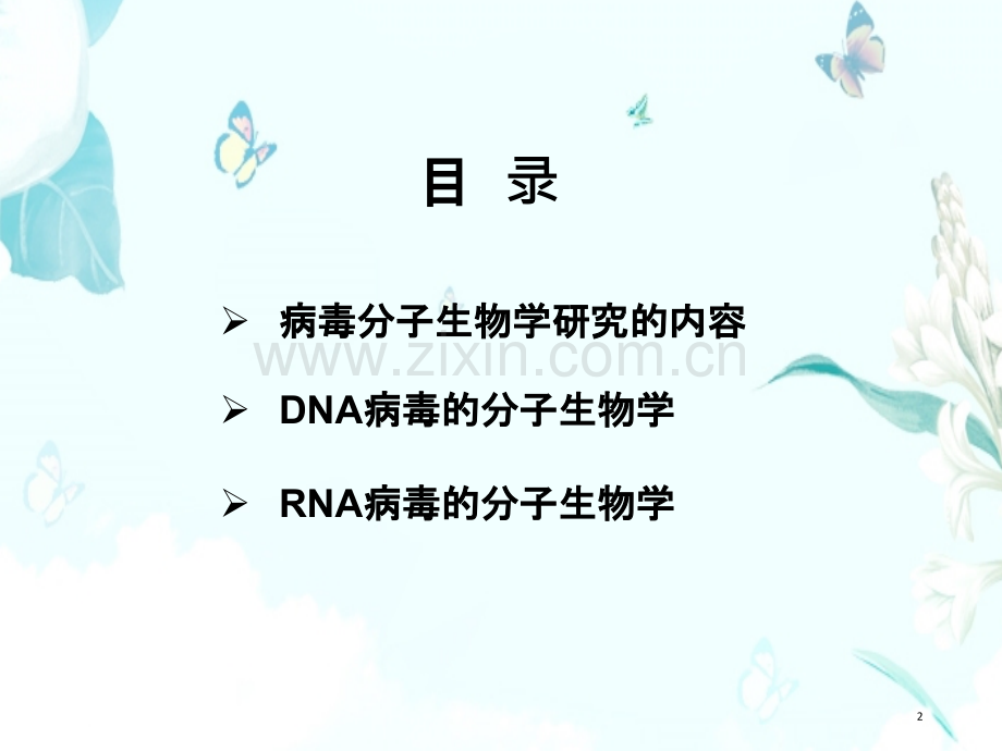 病毒分子生物学.ppt_第2页