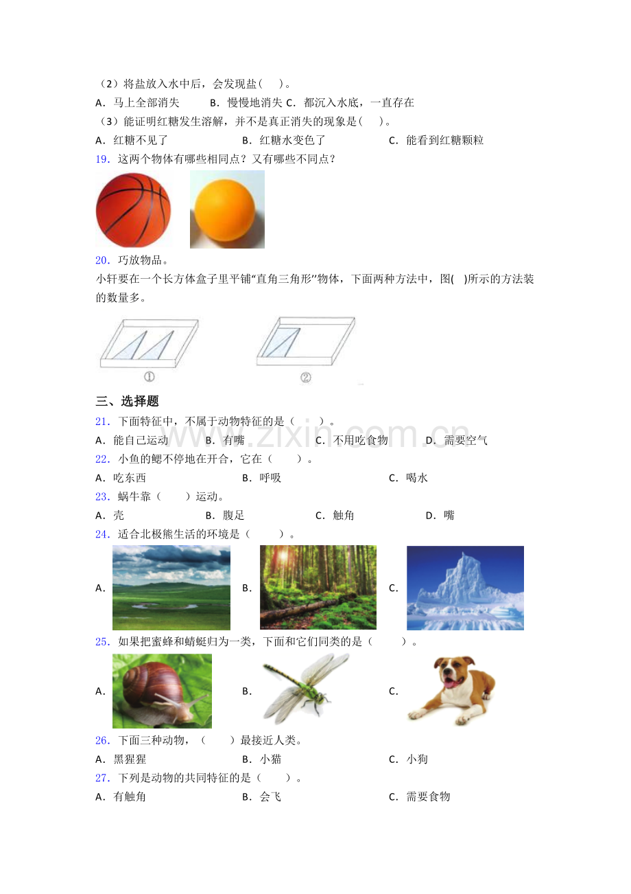 教科版一年级下册科学期末试卷检测题(Word版含答案).doc_第3页