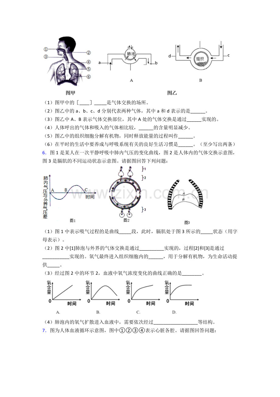 人教版中学七年级生物下册期末解答实验探究大题复习附答案完整.doc_第3页