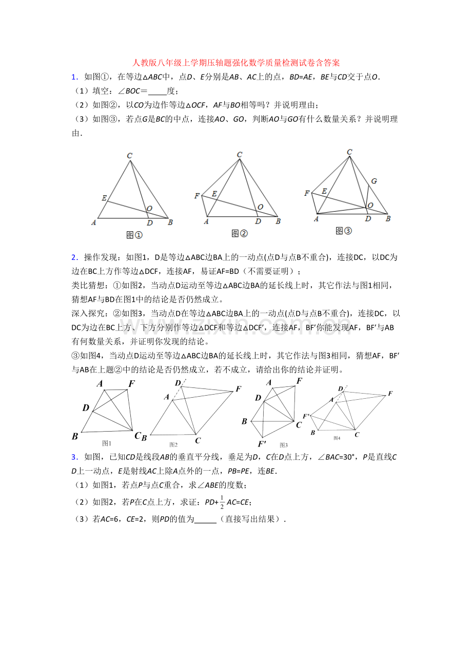 人教版八年级上学期压轴题强化数学质量检测试卷含答案[003].doc_第1页