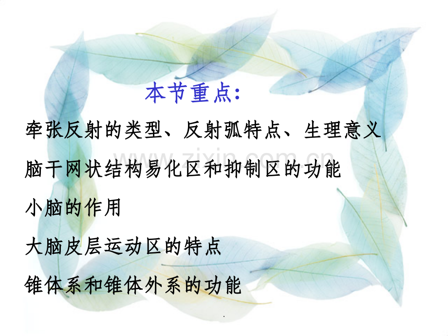 神经系统对躯体运动的调节.ppt_第2页