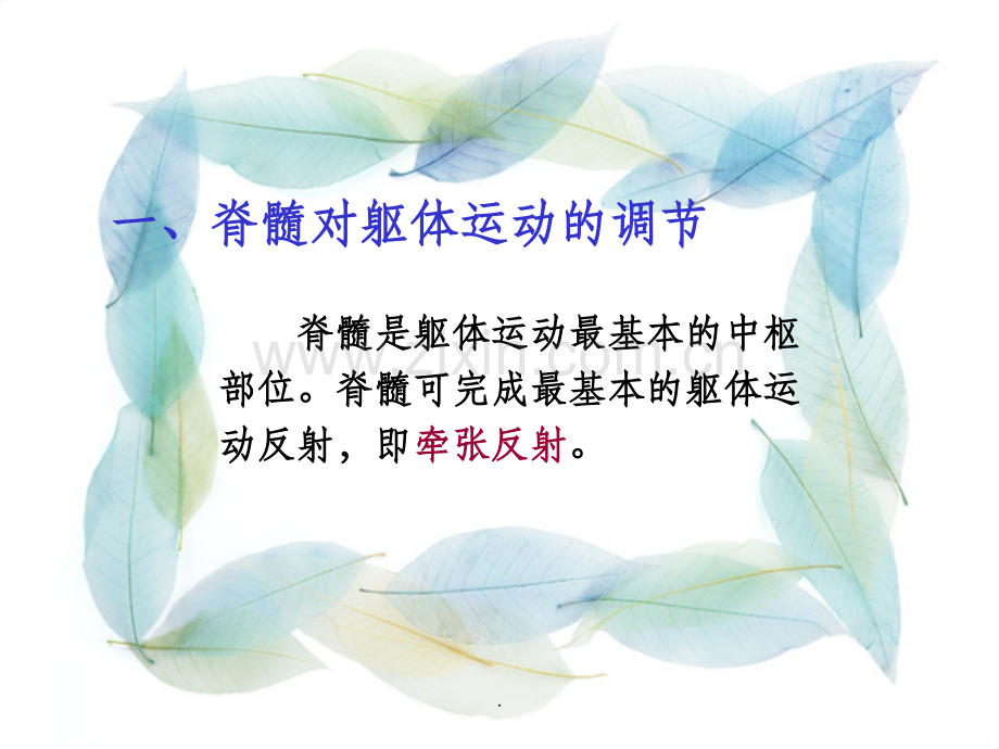 神经系统对躯体运动的调节.ppt_第3页