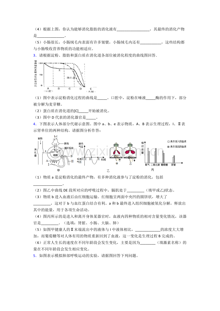 人教七年级下册生物期末解答实验探究大题试卷附答案word.doc_第2页