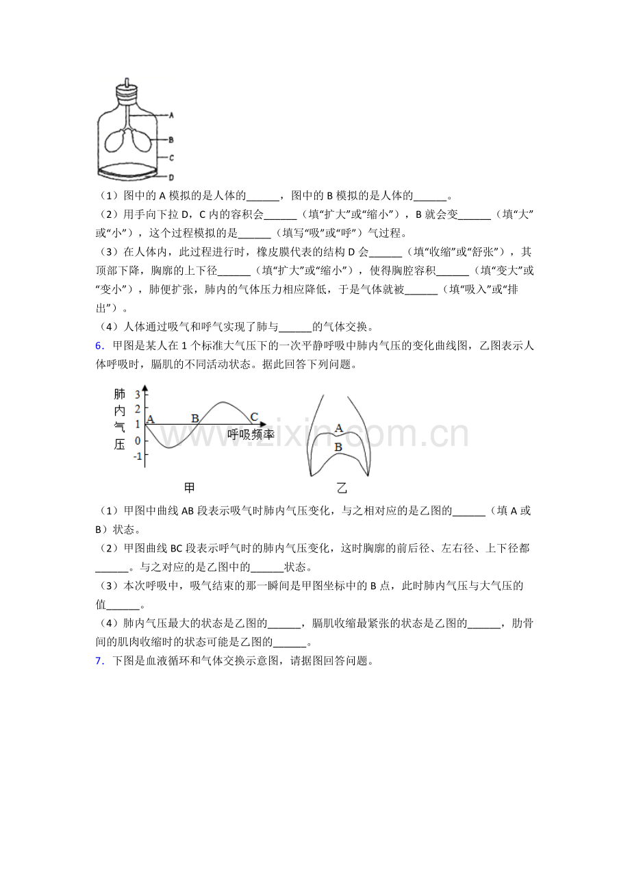 人教七年级下册生物期末解答实验探究大题试卷附答案word.doc_第3页