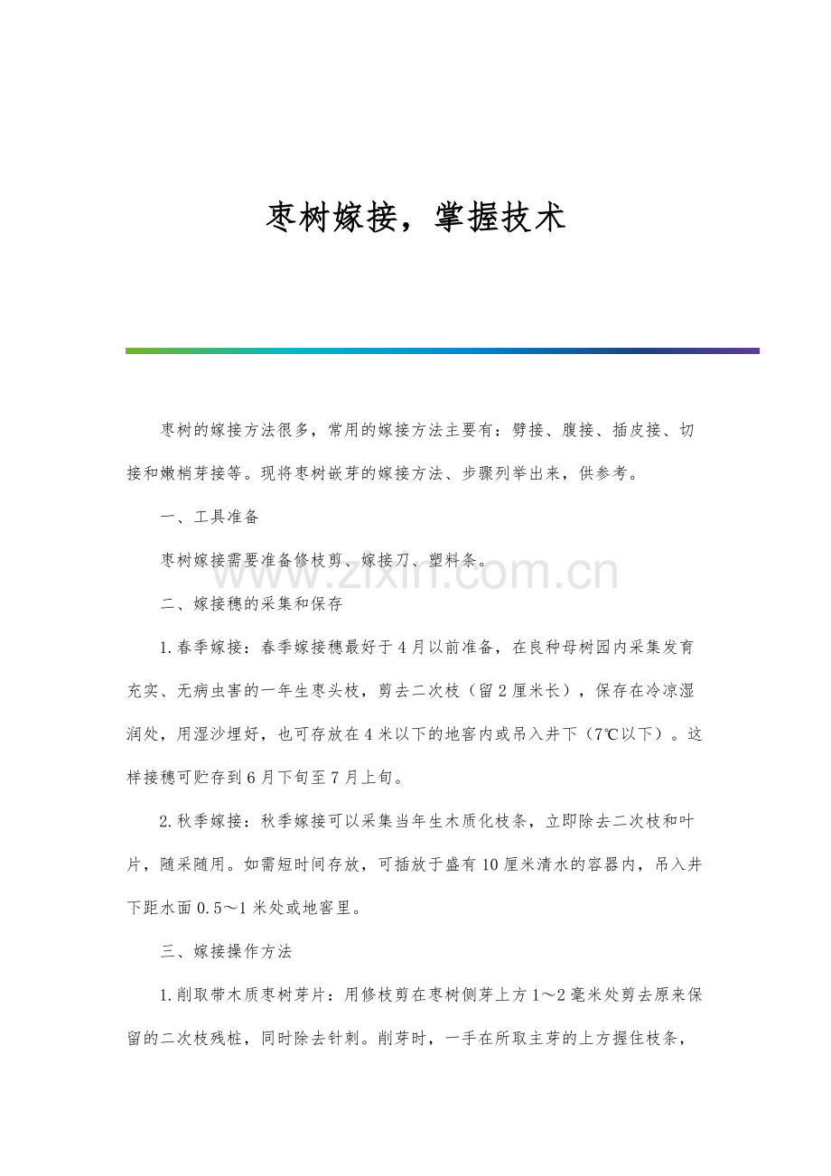 林木超深栽苗木培育及造林技术.docx_第1页