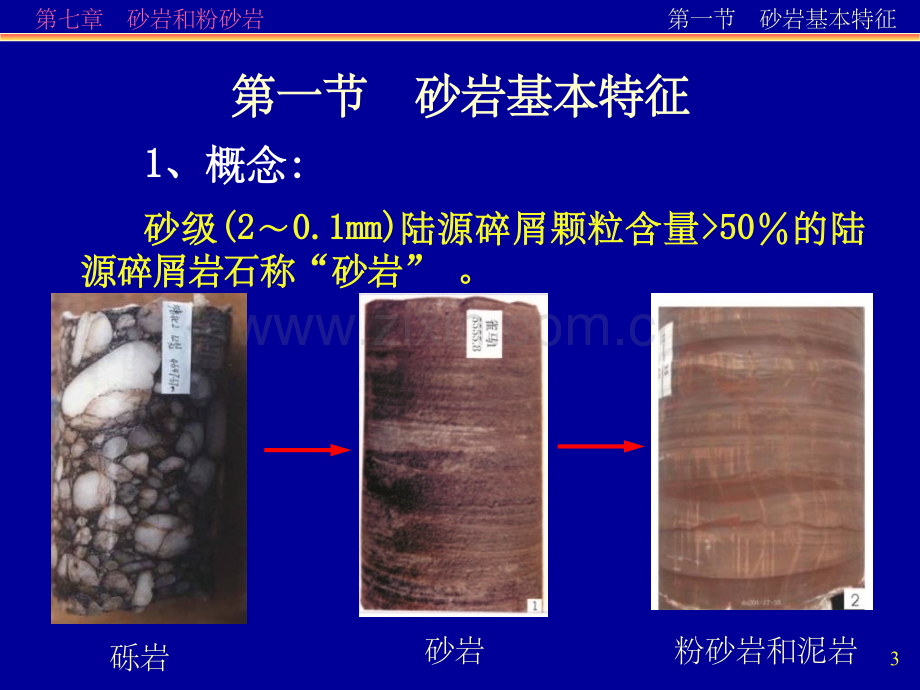 陆源碎屑岩——砂岩+粉砂岩.ppt_第3页