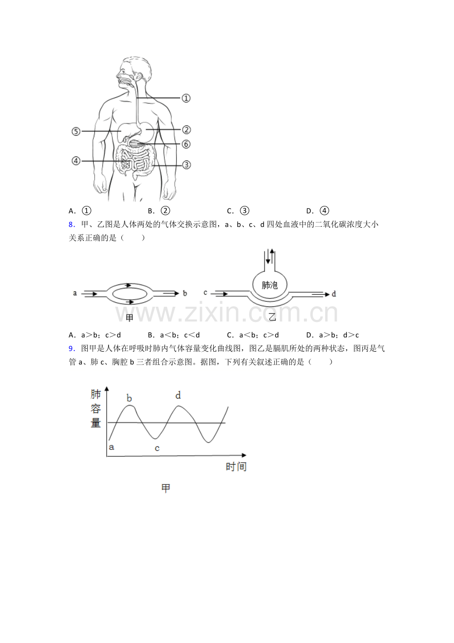 2023年人教版中学初一下册生物期中试卷(及解析).doc_第2页