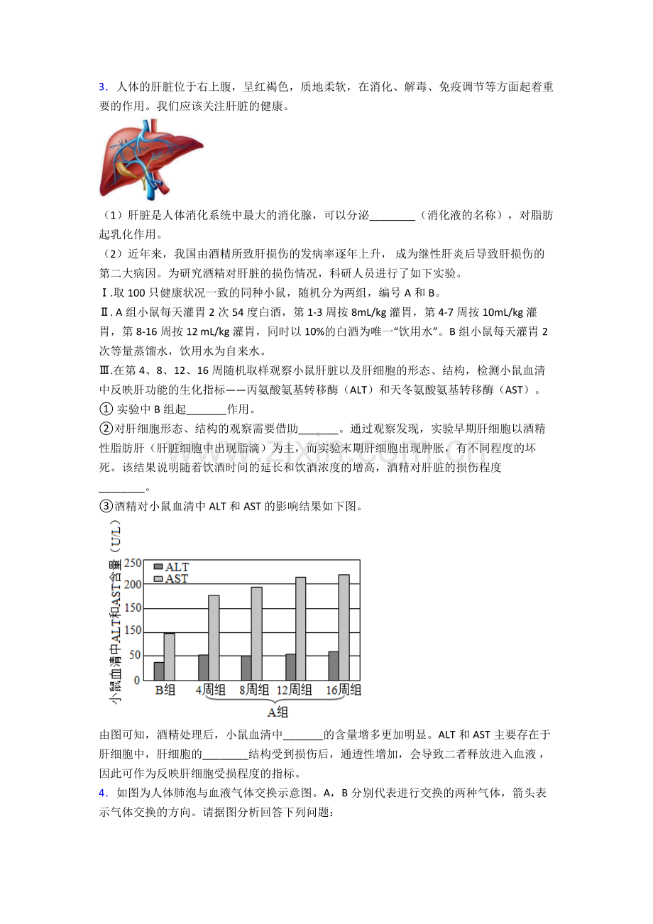 2024年人教版中学初一下册生物期末解答实验探究大题质量检测卷(附答案).doc_第2页