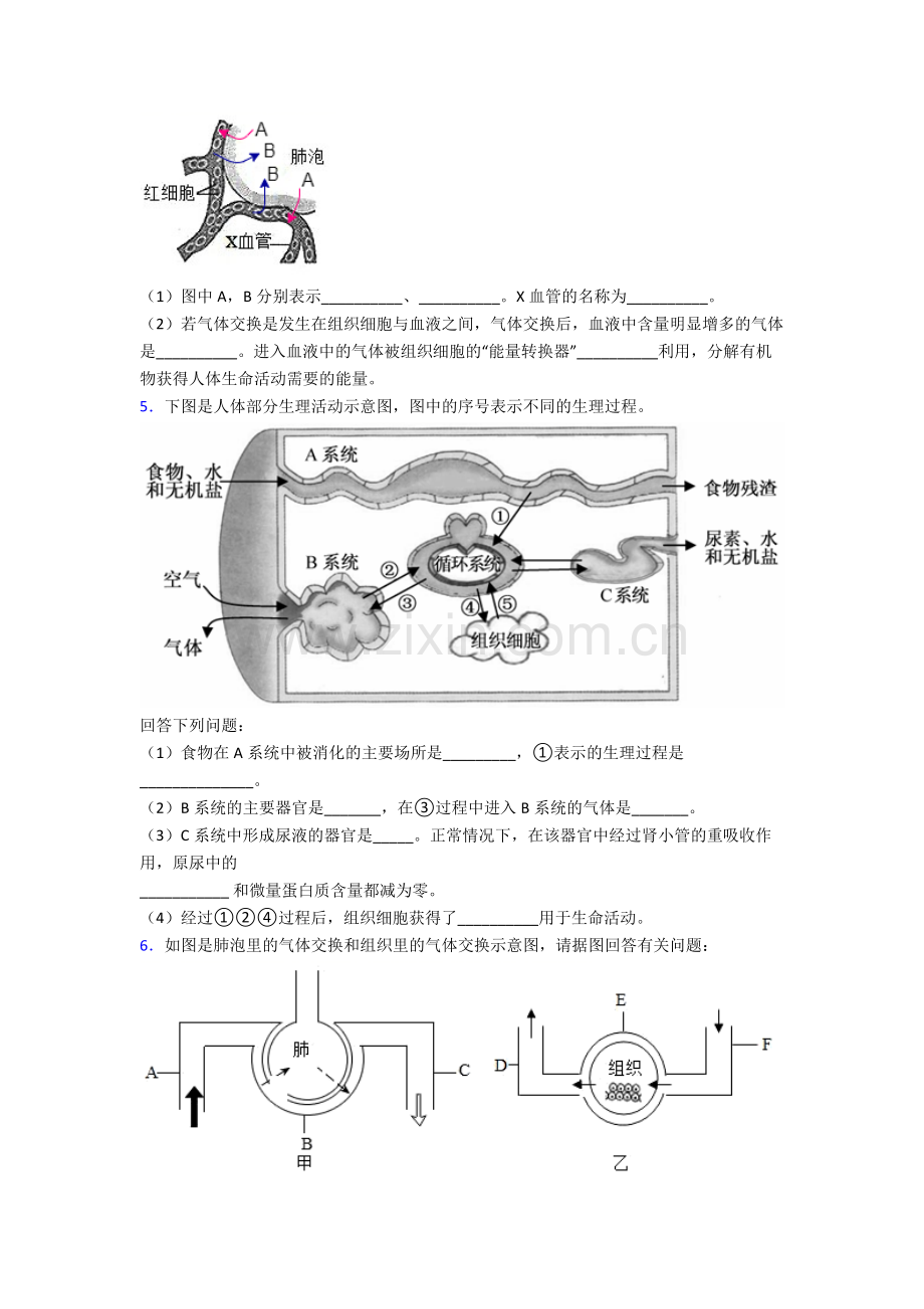 2024年人教版中学初一下册生物期末解答实验探究大题质量检测卷(附答案).doc_第3页