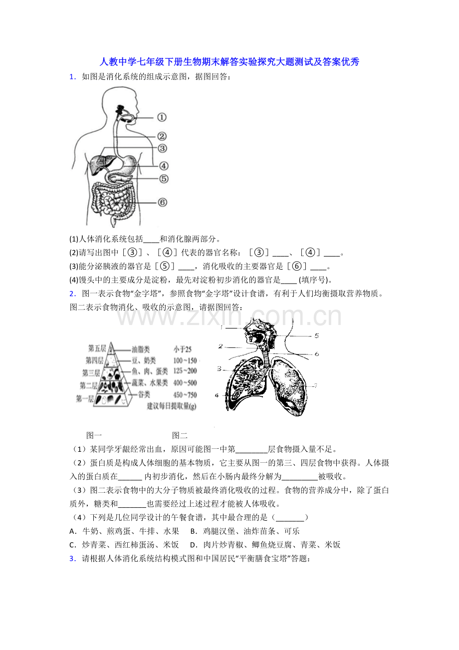 人教中学七年级下册生物期末解答实验探究大题测试及答案优秀.doc_第1页