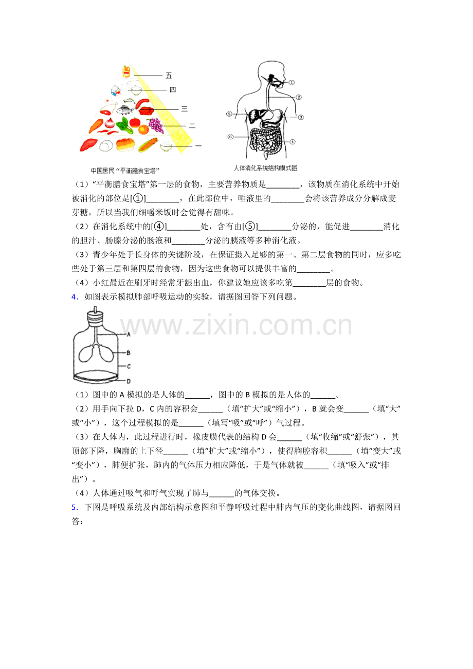 人教中学七年级下册生物期末解答实验探究大题测试及答案优秀.doc_第2页