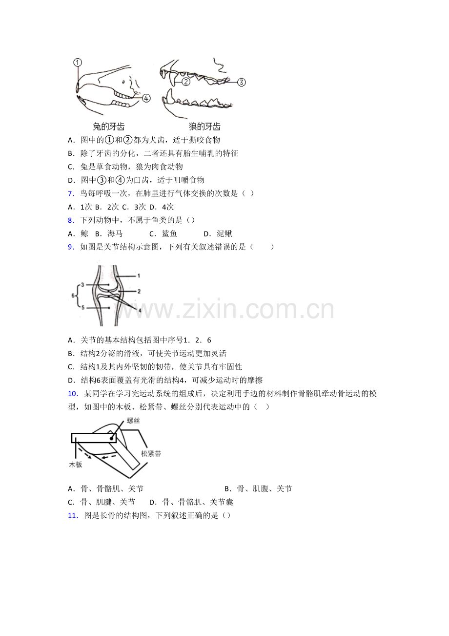 八年级上册期末模拟生物综合检测试卷(一).doc_第2页