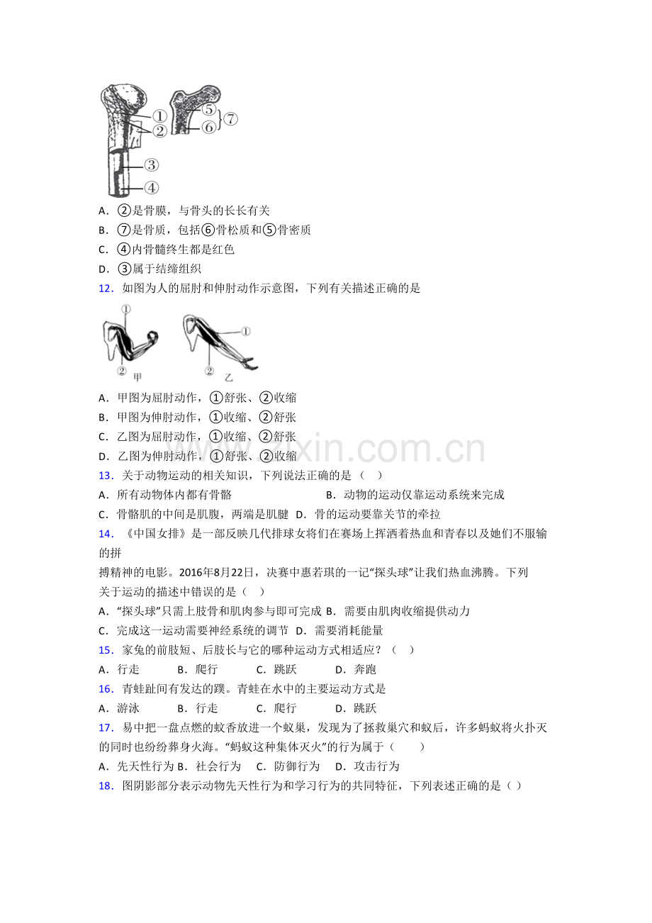 八年级上册期末模拟生物综合检测试卷(一).doc_第3页