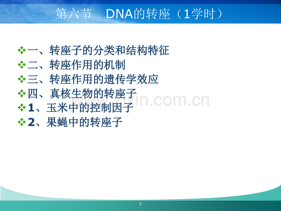 第六节DNA的转座.ppt_第2页