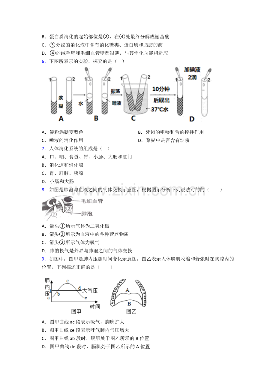 2024年人教版初一下册生物期中测试(附解析).doc_第2页