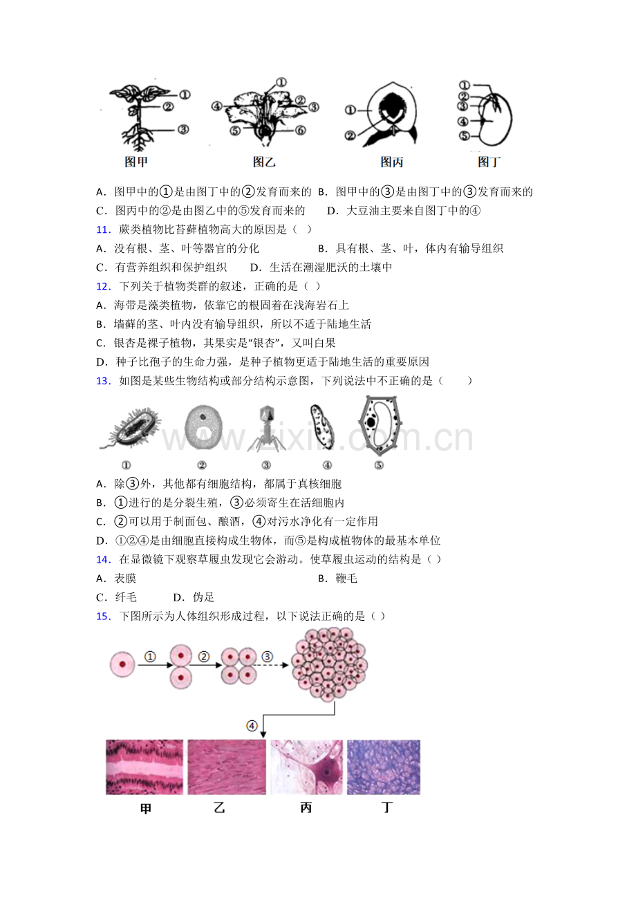 七年级生物上册期末综合检测试卷附解析(-).doc_第3页