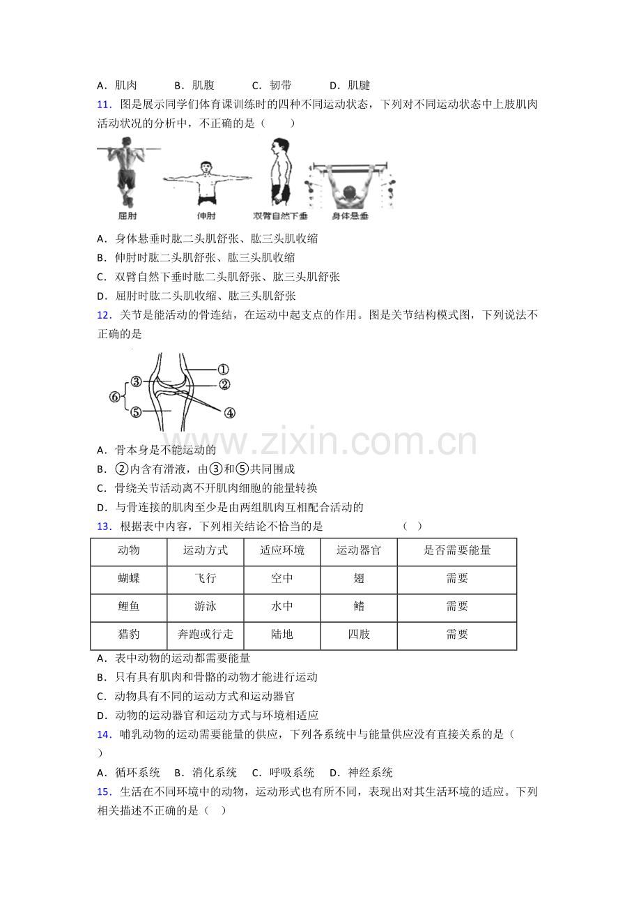 八年级上册期末生物试卷附解析(一).doc_第2页