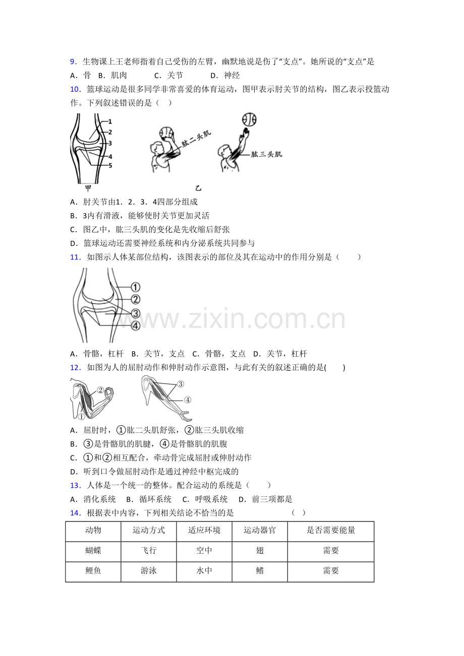 初二上学期期末模拟生物综合检测试题.doc_第2页