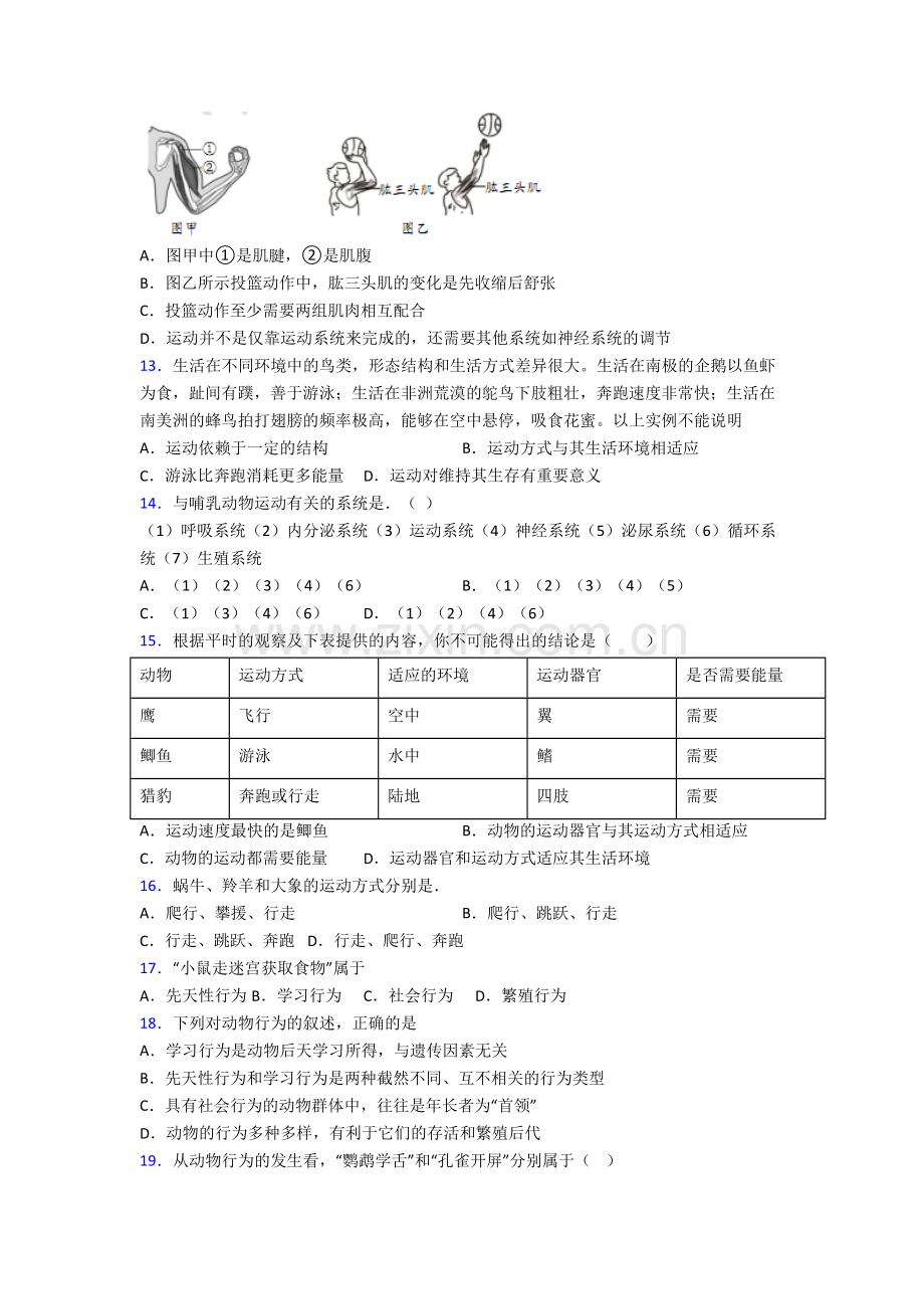 深圳市罗湖外语学校生物八年级上册期末试卷.doc_第3页