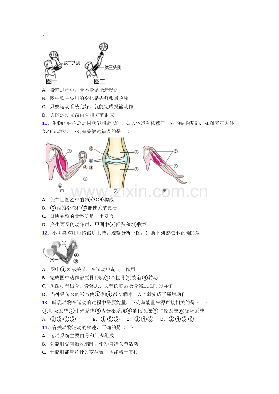 宁波市惠贞书院八年级上册期末生物试卷.doc_第2页