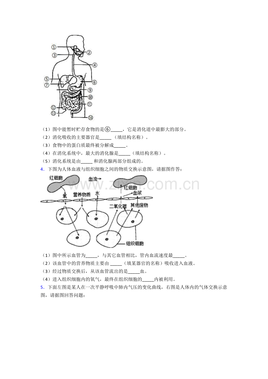 人教版中学初一下册生物期末解答实验探究大题质量检测(及解析).doc_第2页