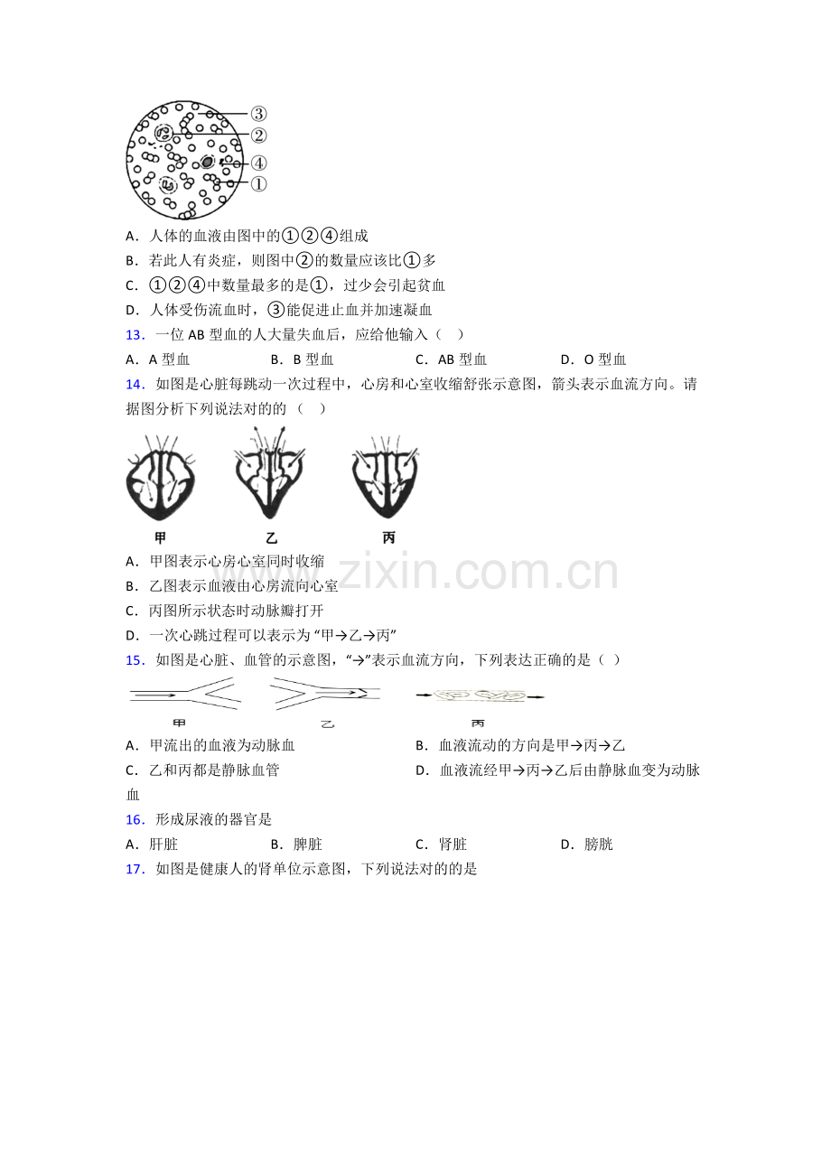 2024年人教版初一下册生物期中复习试卷(含答案).doc_第3页