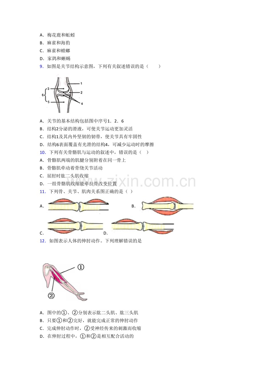 深圳观澜二中生物八年级上册期末试卷含答案.doc_第2页