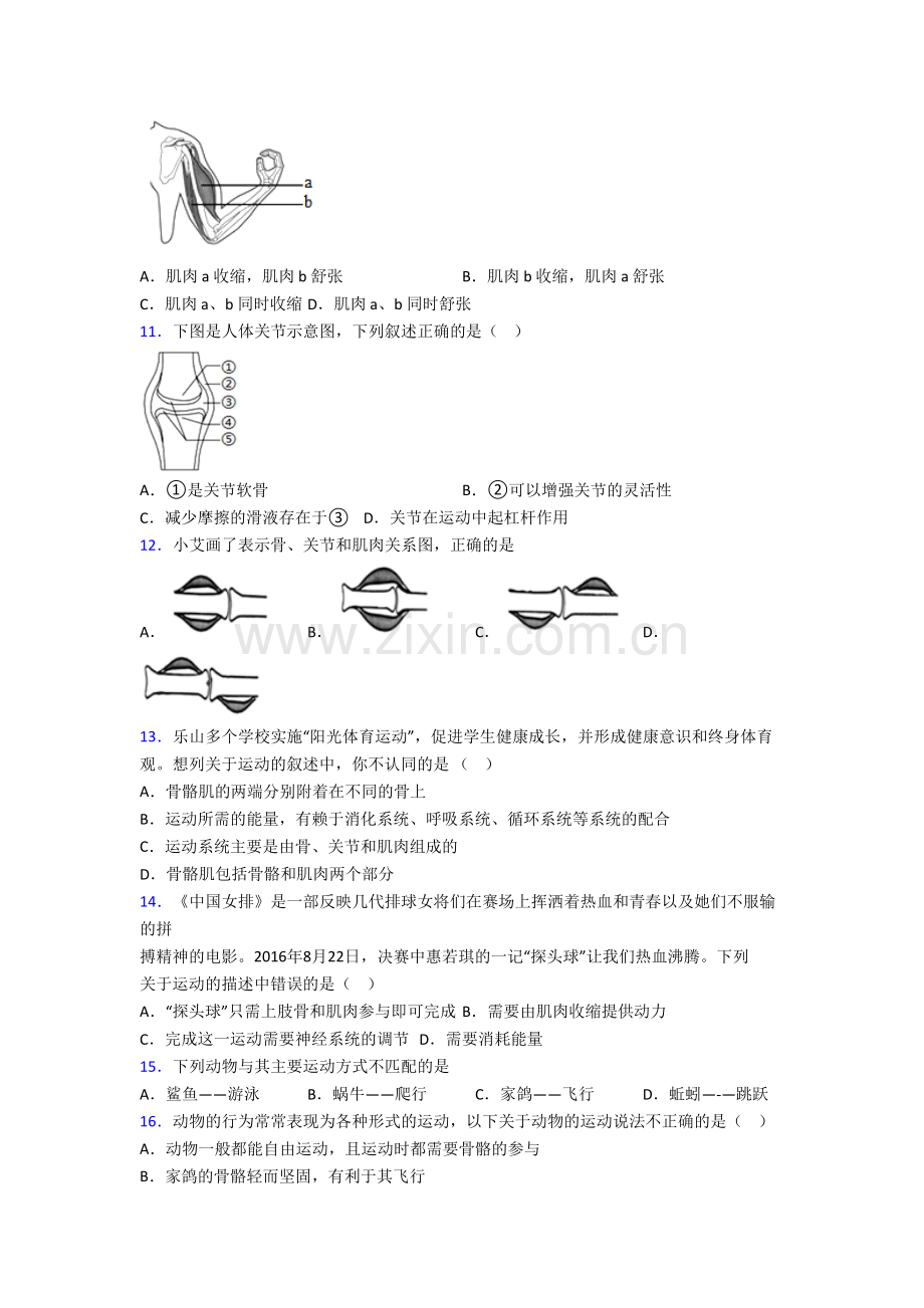 八年级上册期末模拟生物综合试题.doc_第2页