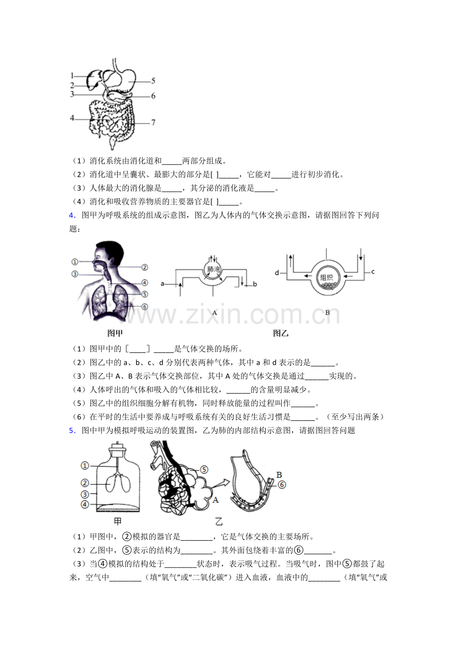 2023年人教版中学初一下册生物期末解答实验探究大题学业水平试卷(附答案)大全.doc_第2页