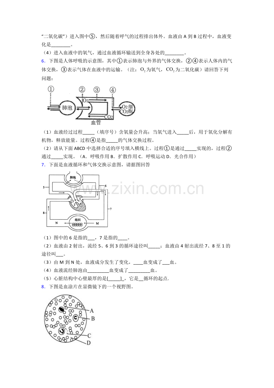 2023年人教版中学初一下册生物期末解答实验探究大题学业水平试卷(附答案)大全.doc_第3页