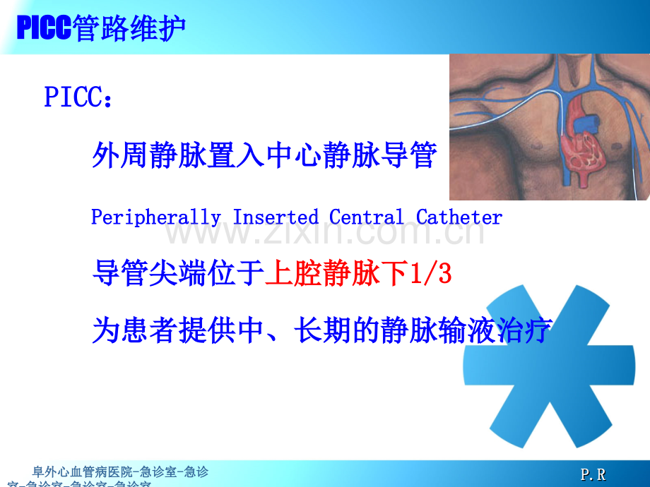 PICC导管维护.ppt_第3页