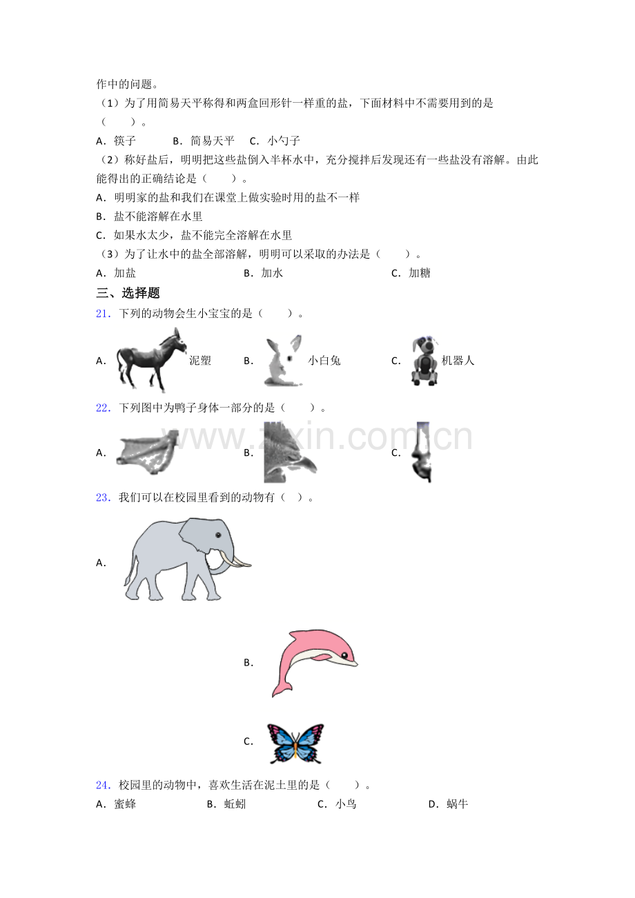 教科版一年级科学下册期末试卷达标检测卷(Word版含解析).doc_第3页