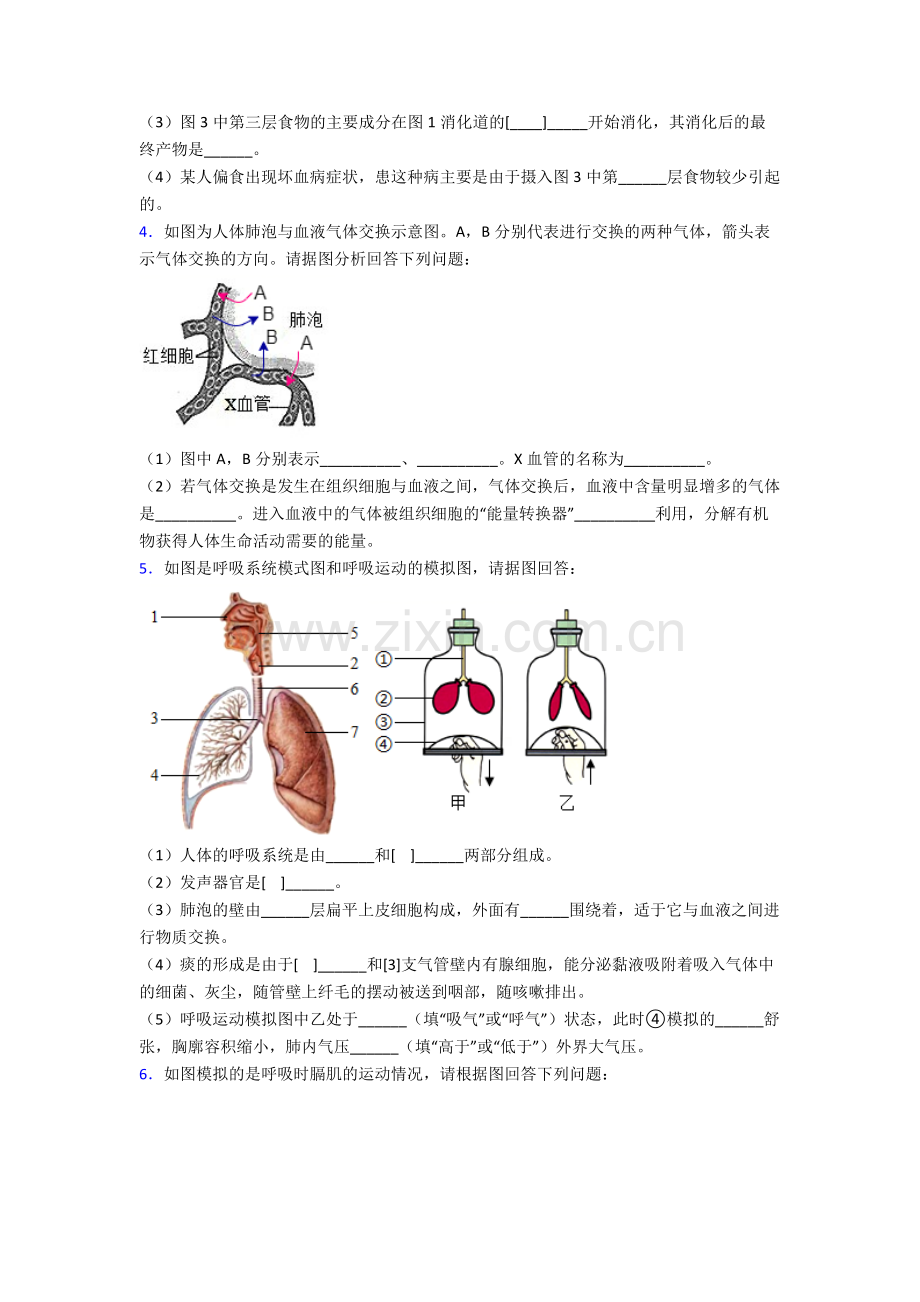 人教七年级下册生物期末解答实验探究大题测试及答案.doc_第2页