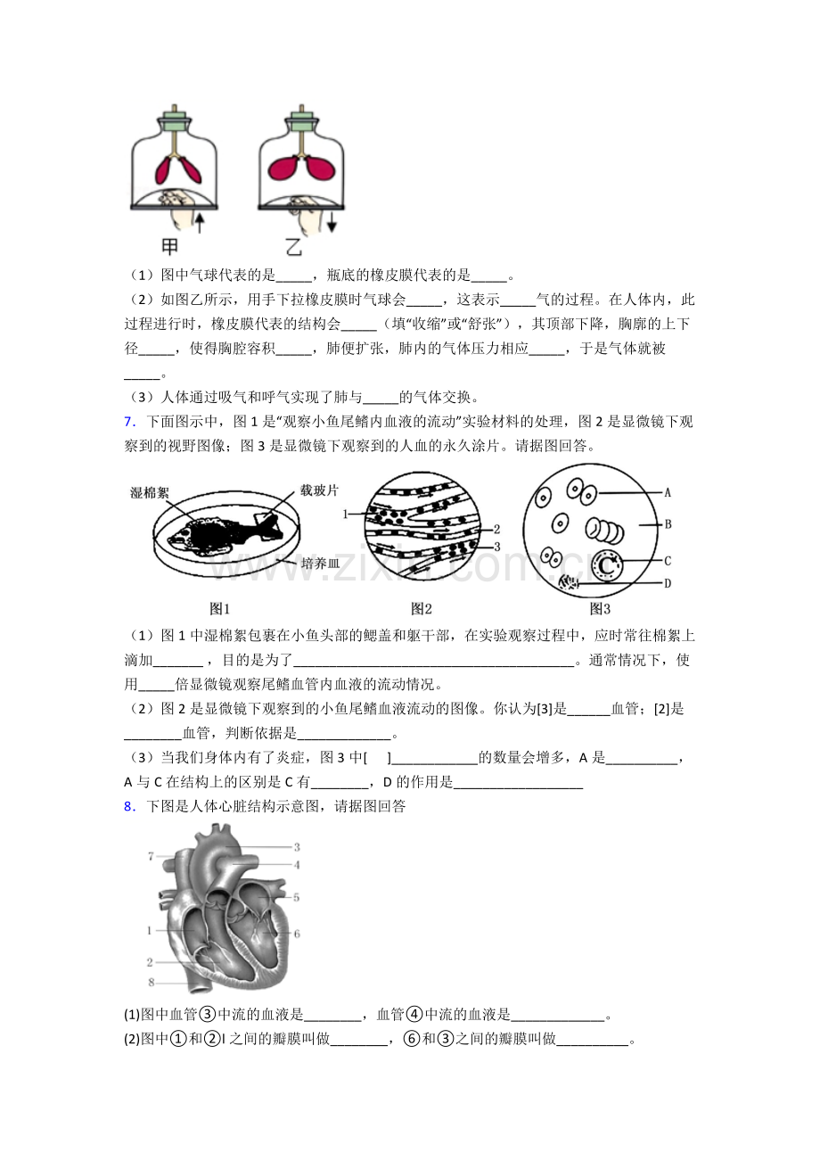 人教七年级下册生物期末解答实验探究大题测试及答案.doc_第3页