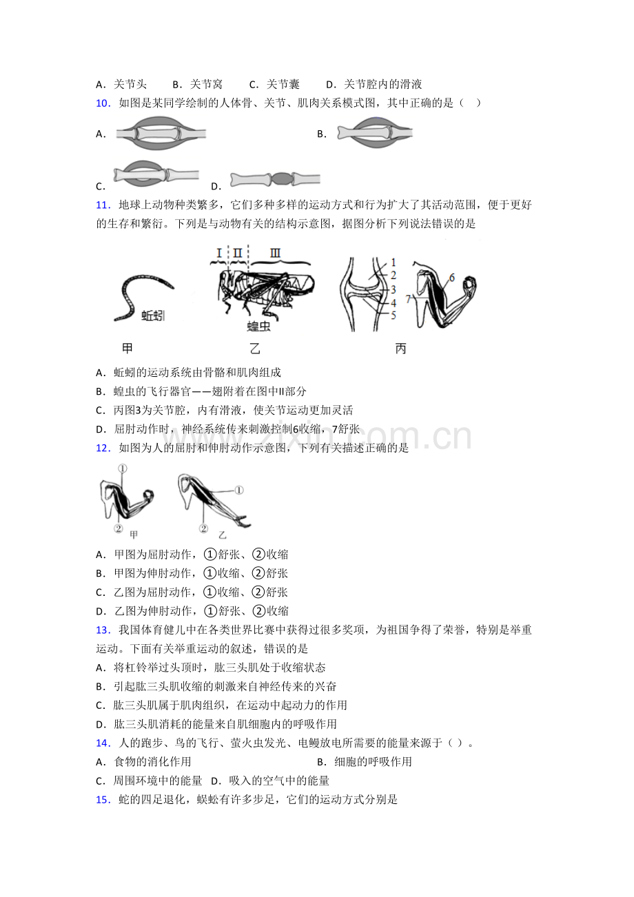 八年级上册期末强化生物质量检测试卷.doc_第2页