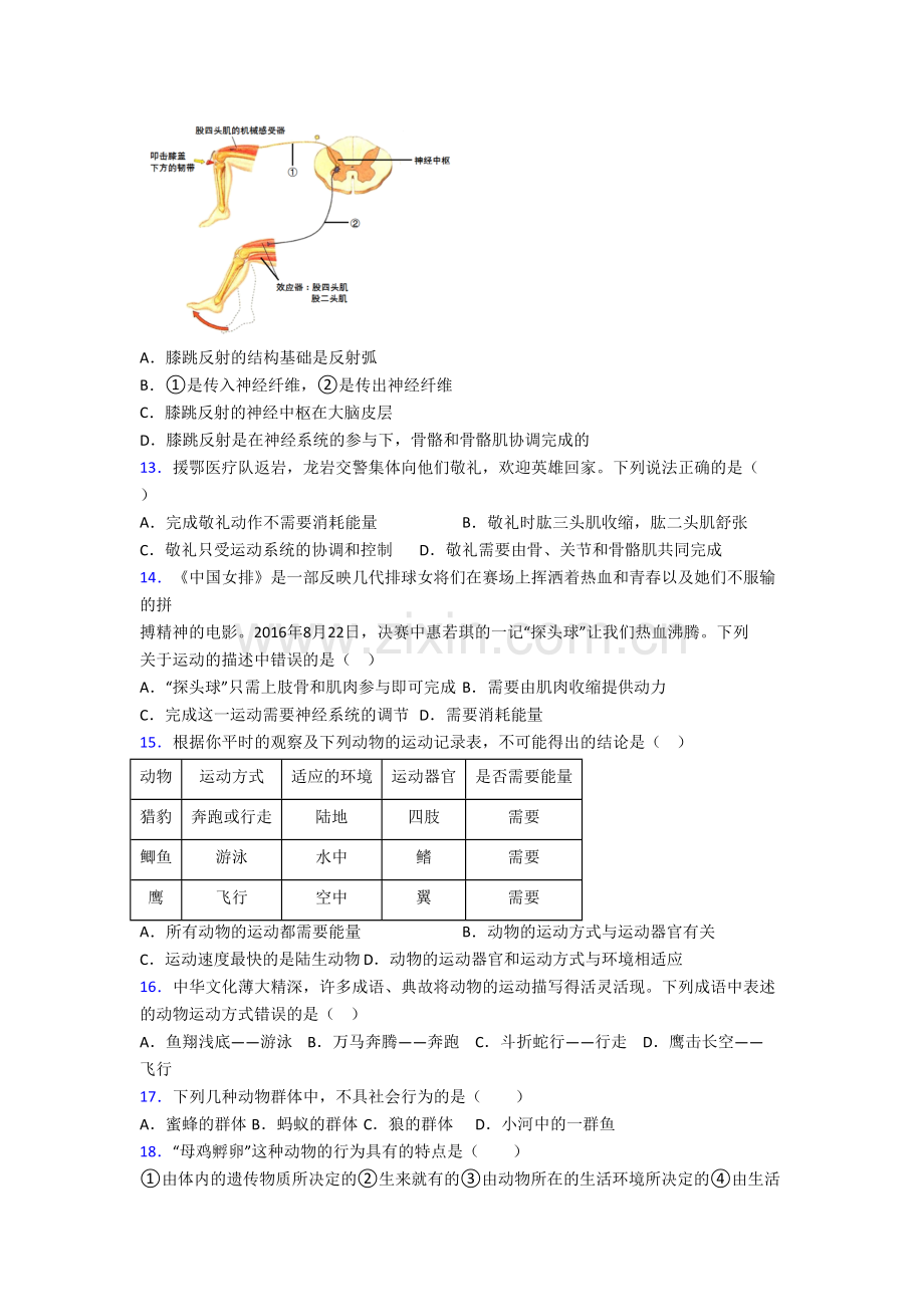 八年级上学期期末模拟生物试题带答案.doc_第3页