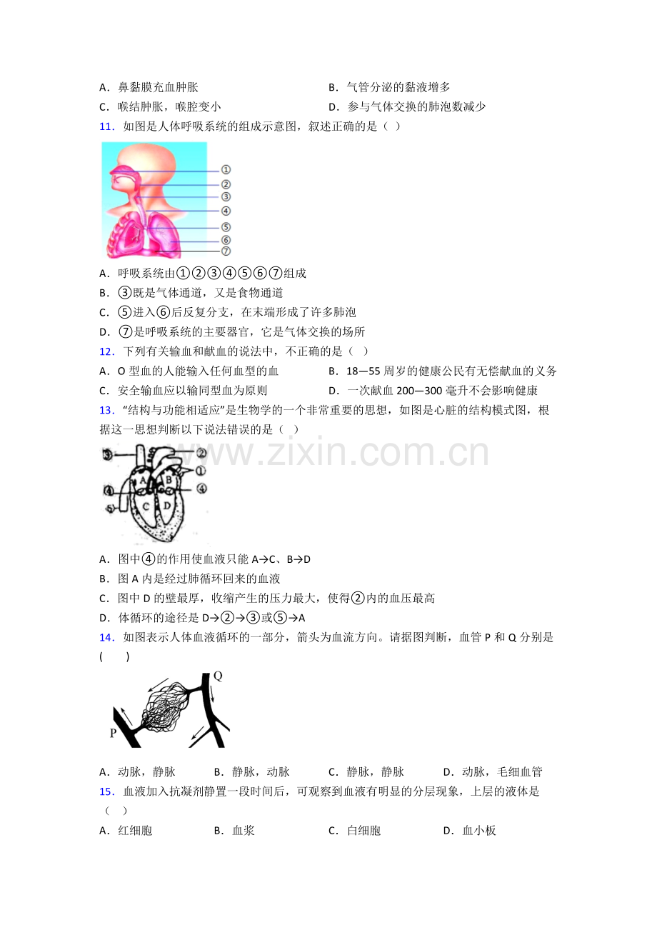 2024年人教版初一下册生物期中综合复习含答案.doc_第3页