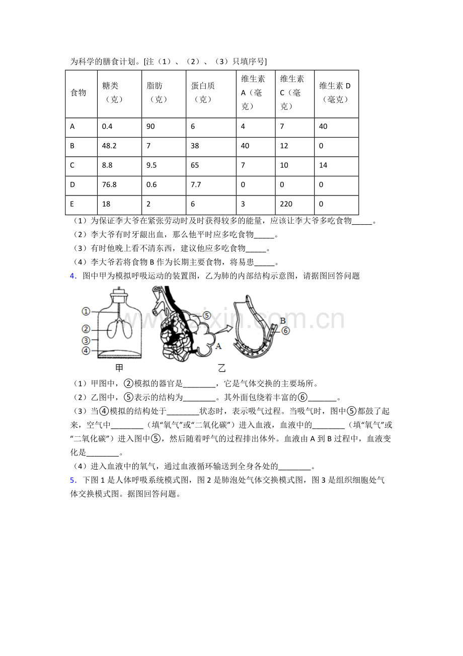 2024年人教版初一下册生物期末解答实验探究大题质量检测卷含答案优秀.doc_第2页