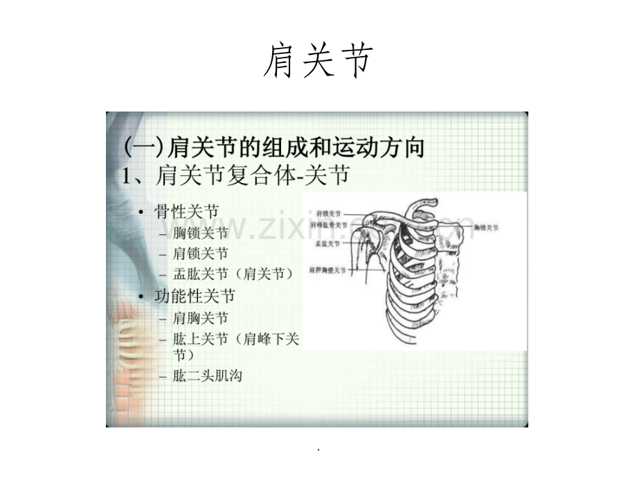 上肢运动基础知识.ppt_第2页